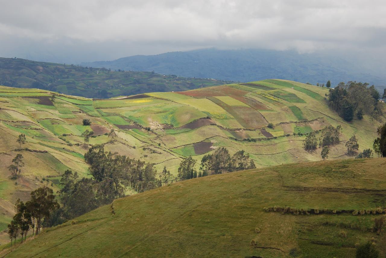 Villa Turismo Comunitario La Esperanza Hacienda Colta Esterno foto